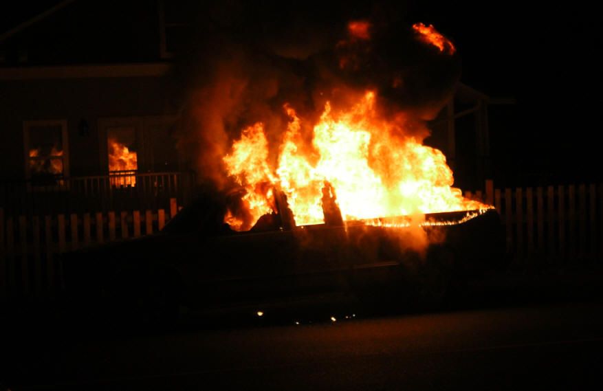 California,  California: Fire,  El Dorado blast,  El Dorado Ranch Park,  Sex Uncover Party